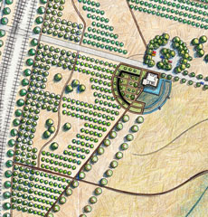 Detail Park Design